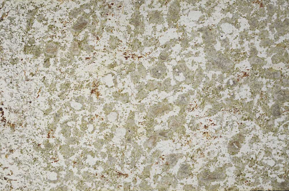 Plane Polarized, S59992