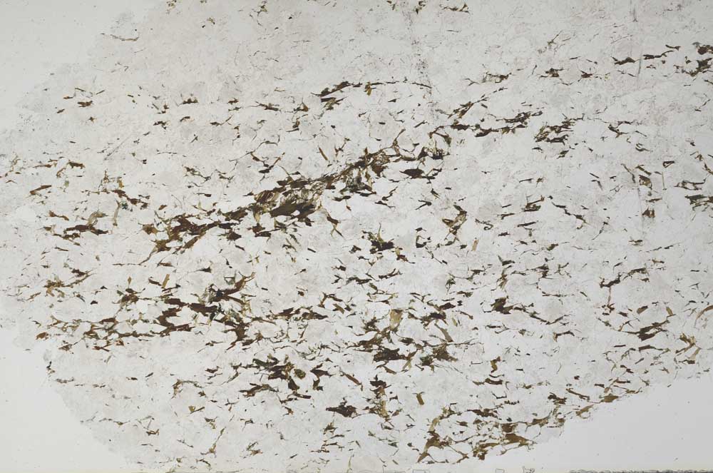 Plane Polarized, S59997