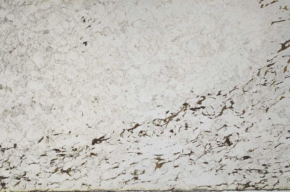 Plane Polarized, S59998