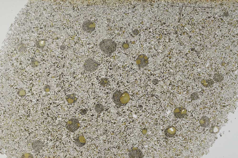 Plane Polarized, S59999