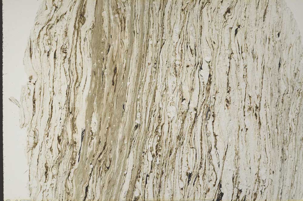 Plane Polarized, S60001