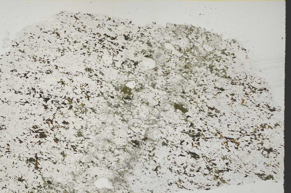 Plane Polarized, S60142