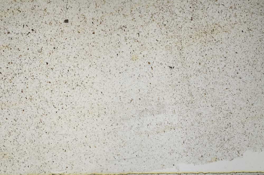 Plane Polarized, S60175
