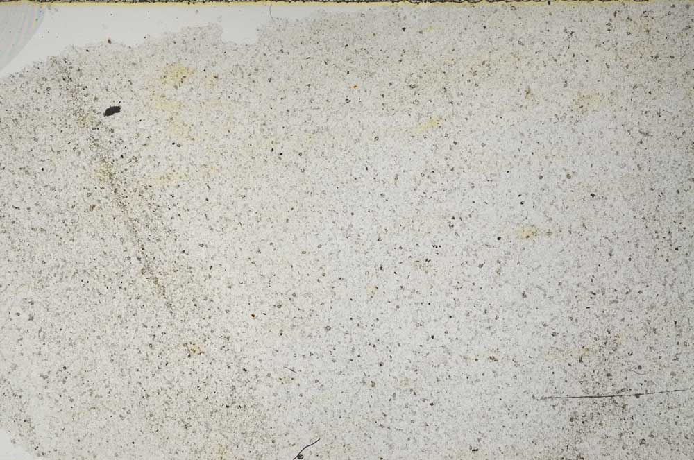 Plane Polarized, S60181