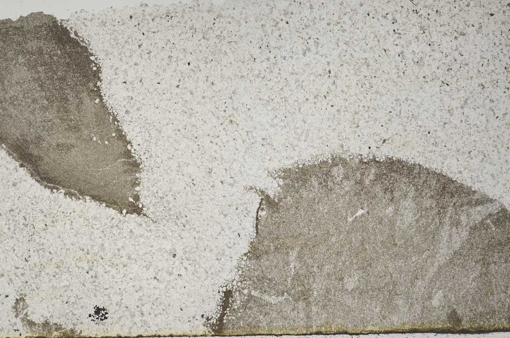 Plane Polarized, S60183