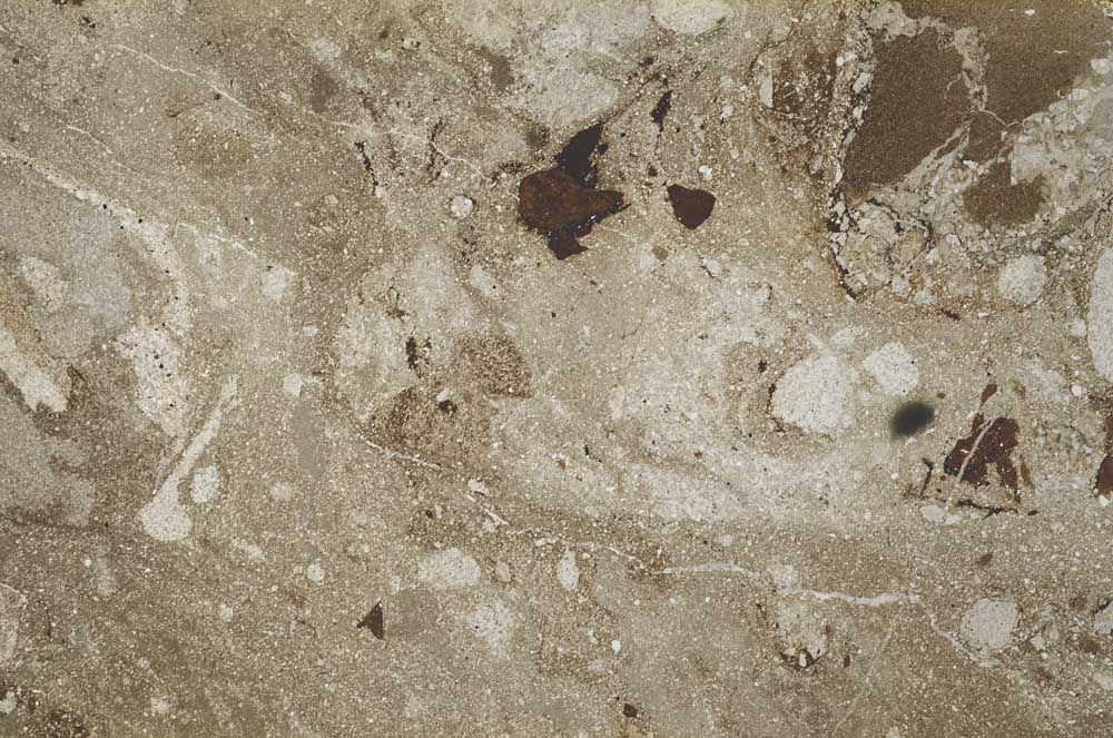 Plane Polarized, S60221