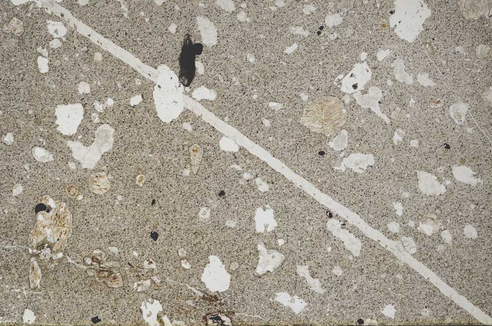 Plane Polarized, S60229