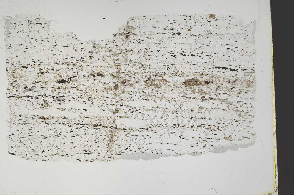Plane Polarized, S60345