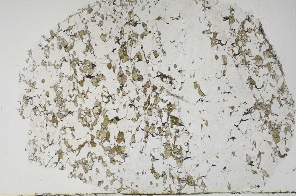 Plane Polarized, S60356