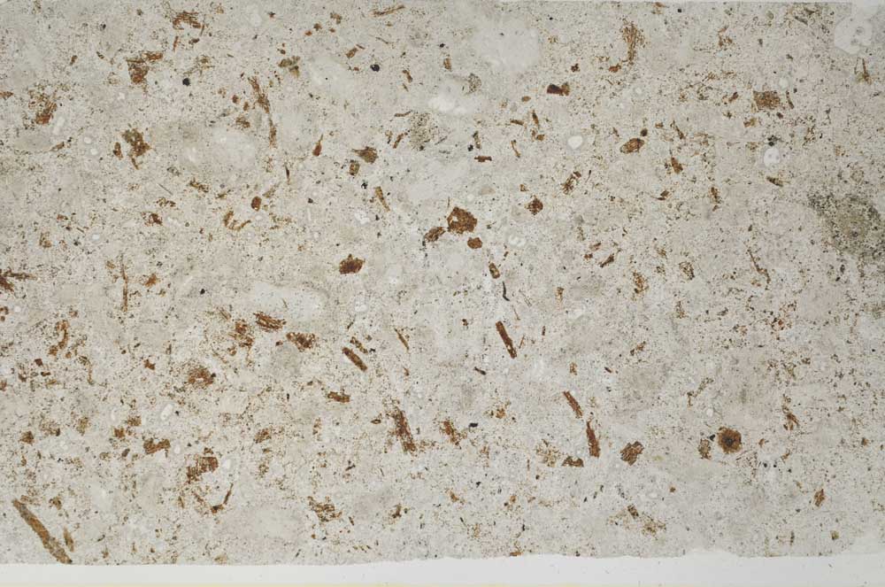 Plane Polarized, S60335