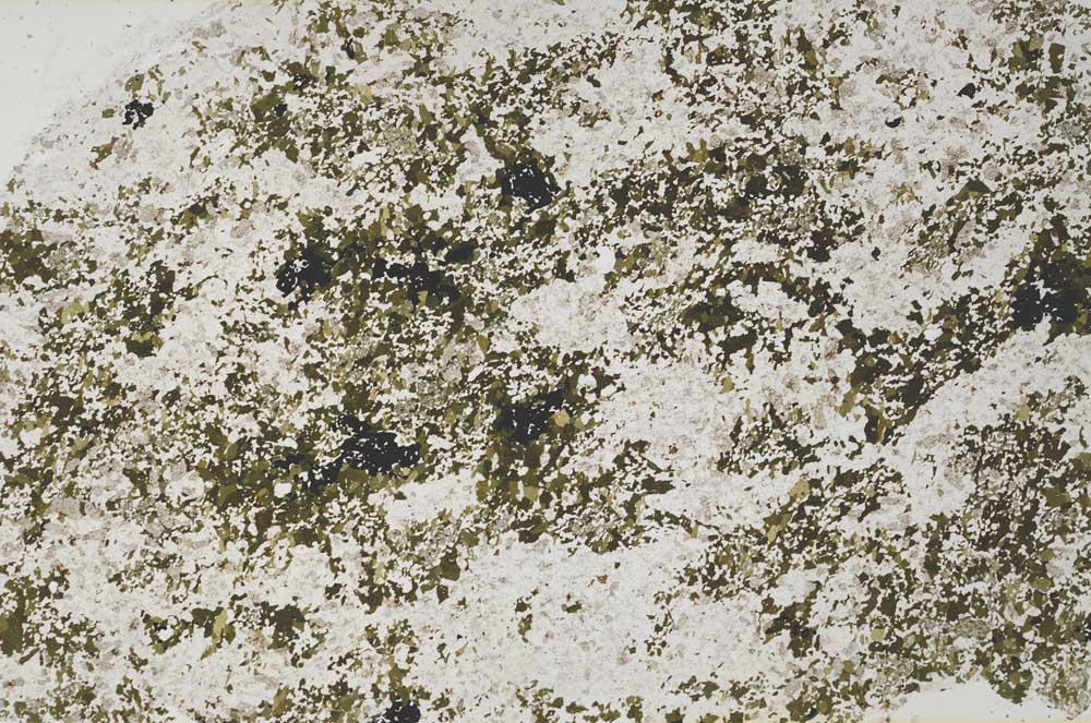 Plane Polarized, S60365