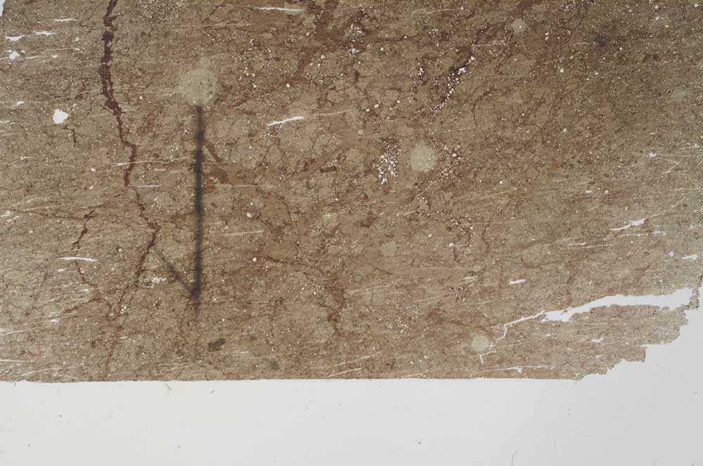 Plane Polarized, S60394