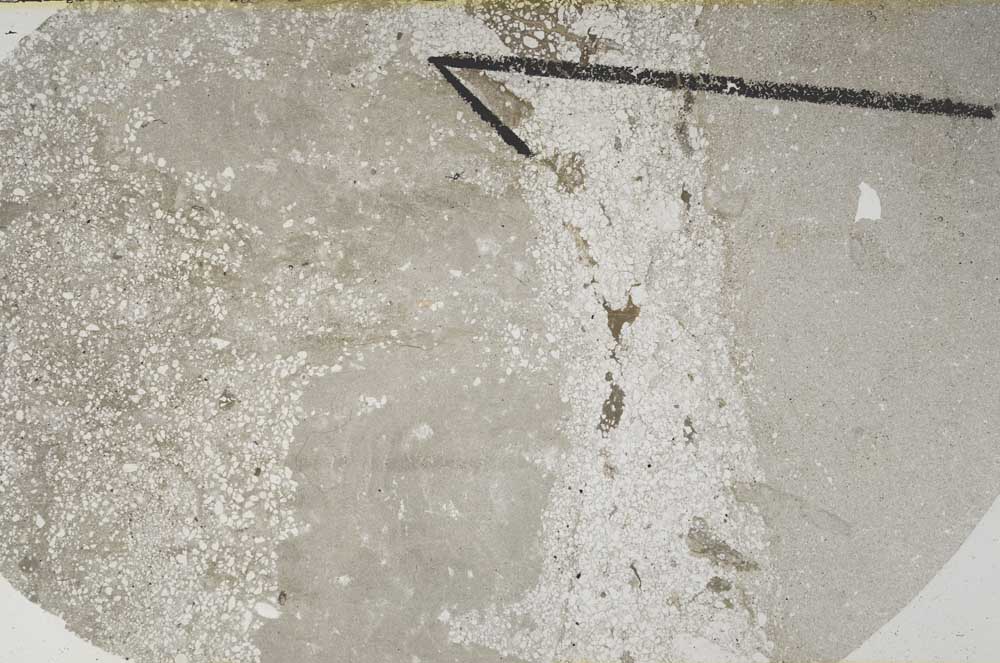 Plane Polarized, S60398