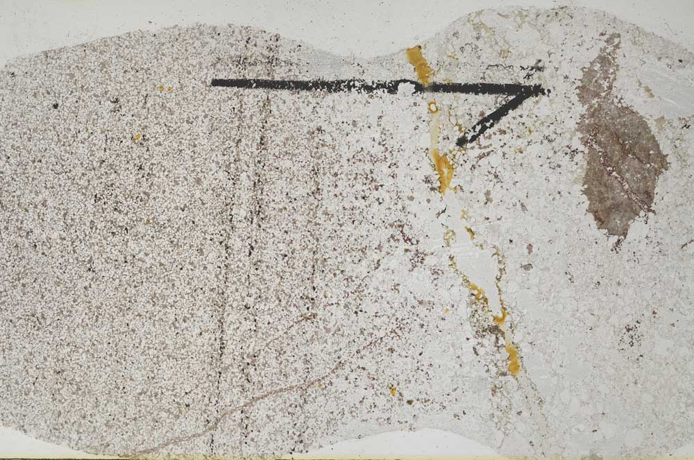 Plane Polarized, S60408