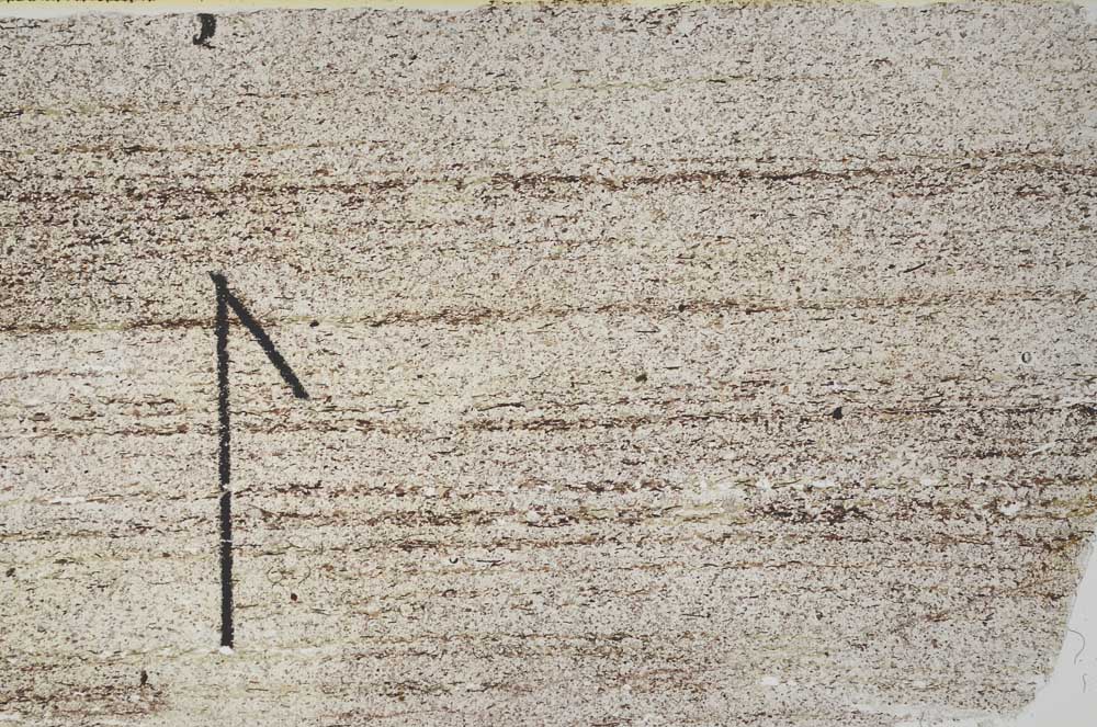 Plane Polarized, S60409