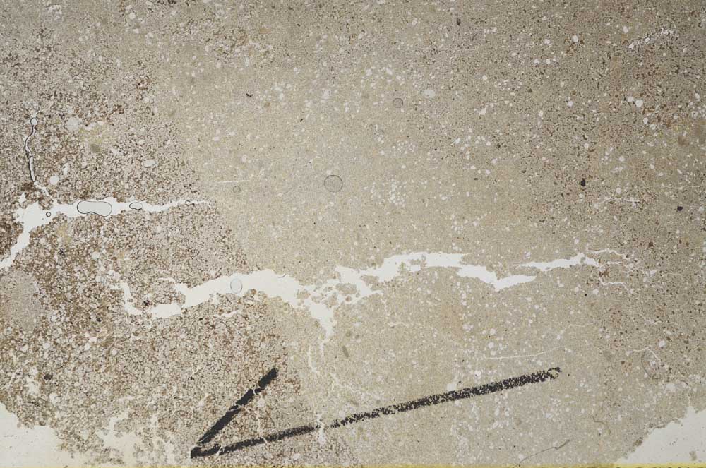 Plane Polarized, S60410