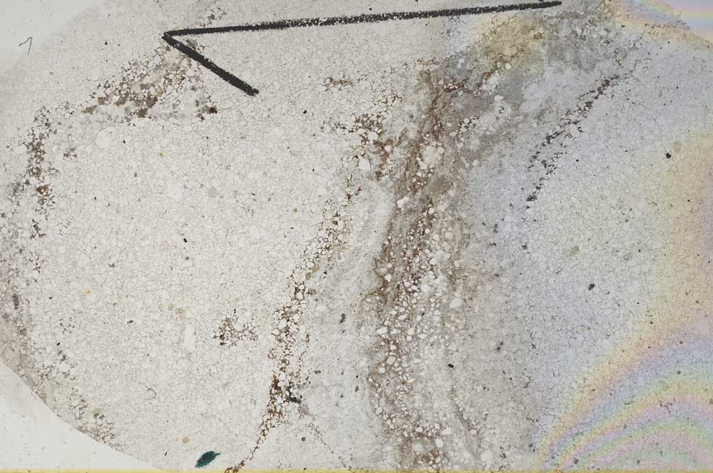 Plane Polarized, S60411