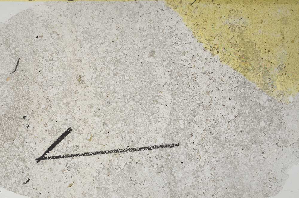 Plane Polarized, S60412