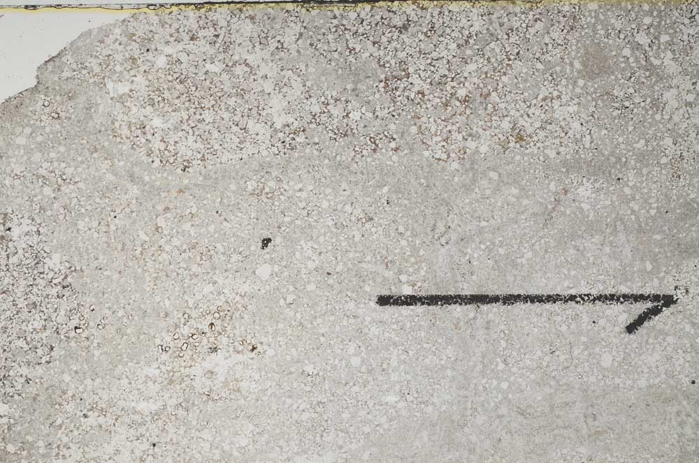 Plane Polarized, S60414