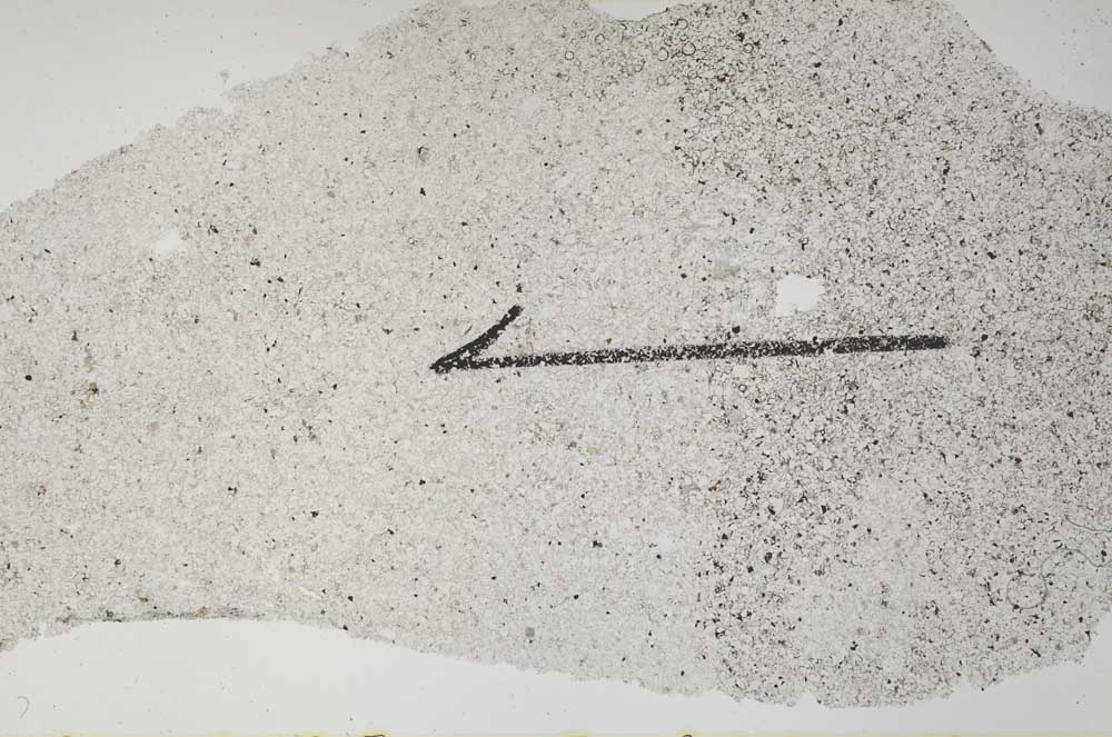 Plane Polarized, S60418