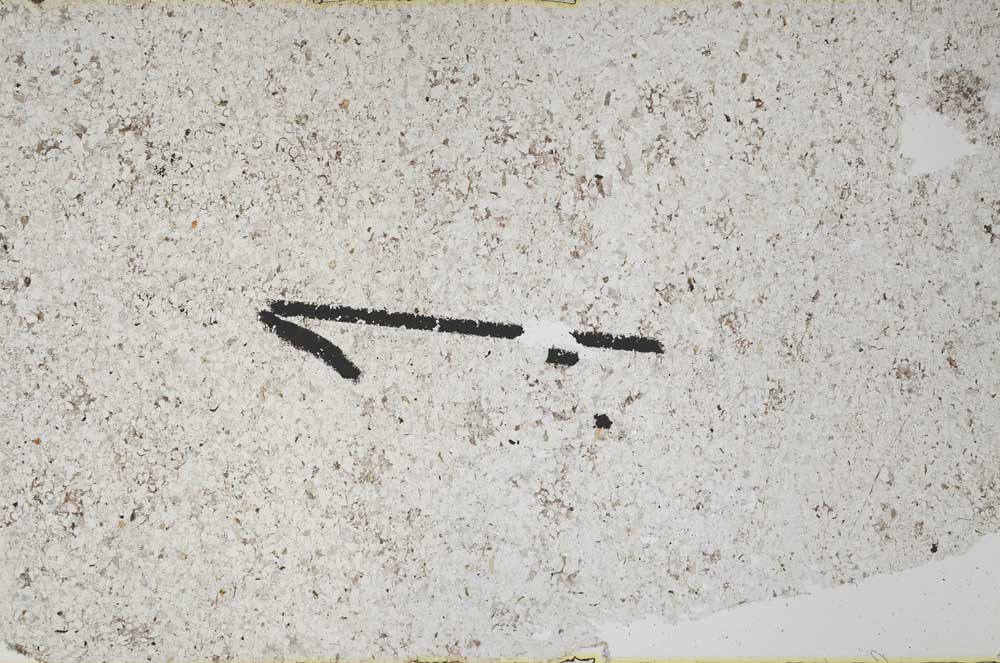 Plane Polarized, S60420