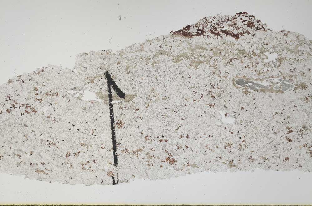 Plane Polarized, S60423