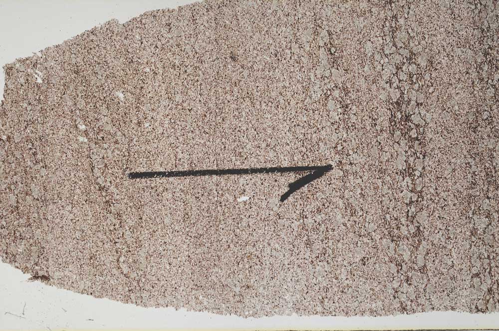 Plane Polarized, S60427