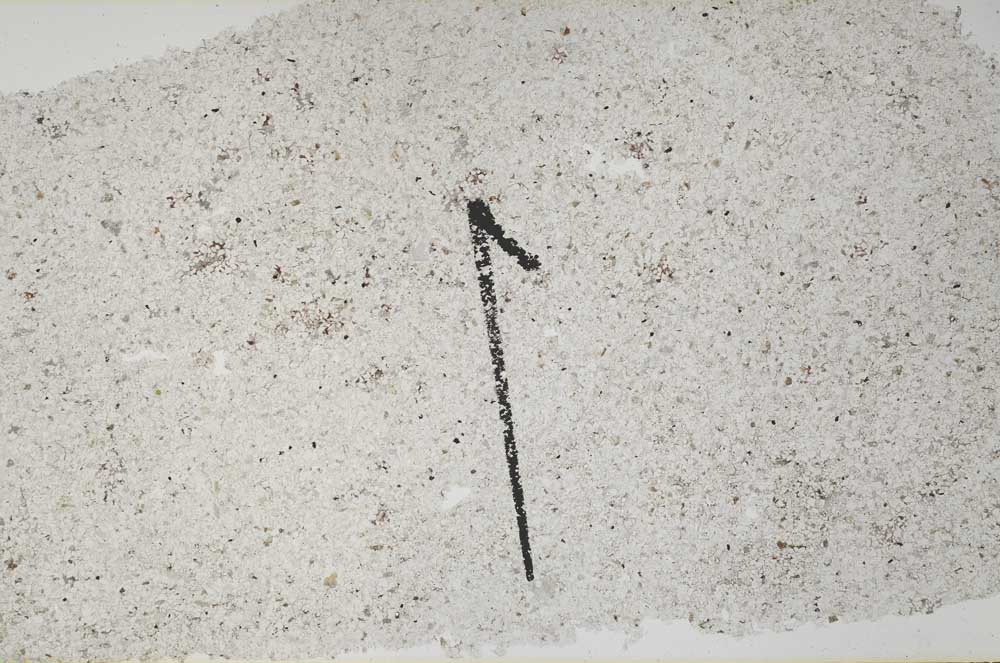 Plane Polarized, S60428