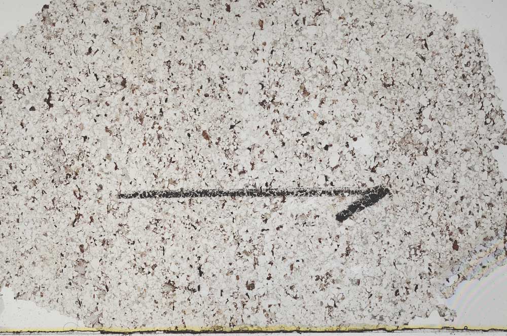 Plane Polarized, S60429