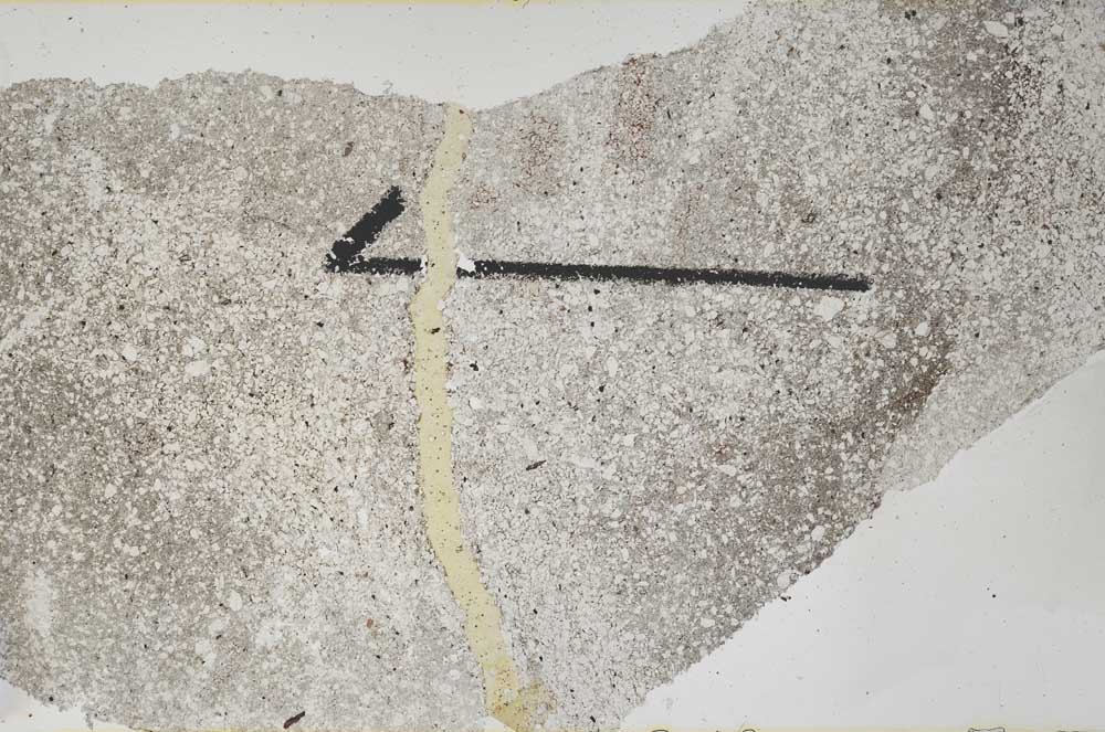 Plane Polarized, S60431