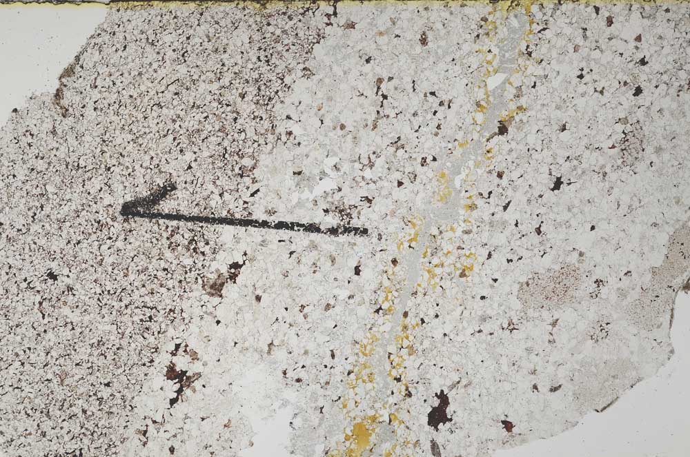 Plane Polarized, S60432