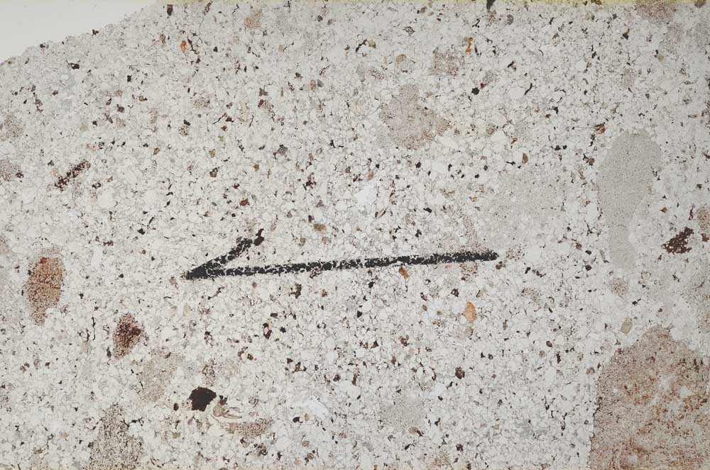 Plane Polarized, S60433