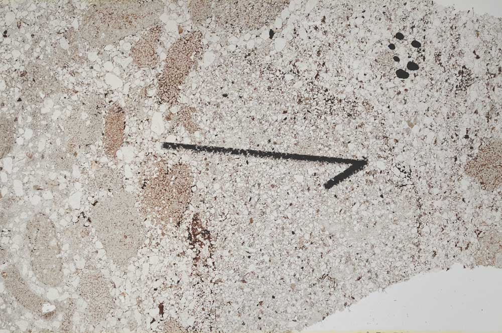 Plane Polarized, S60434