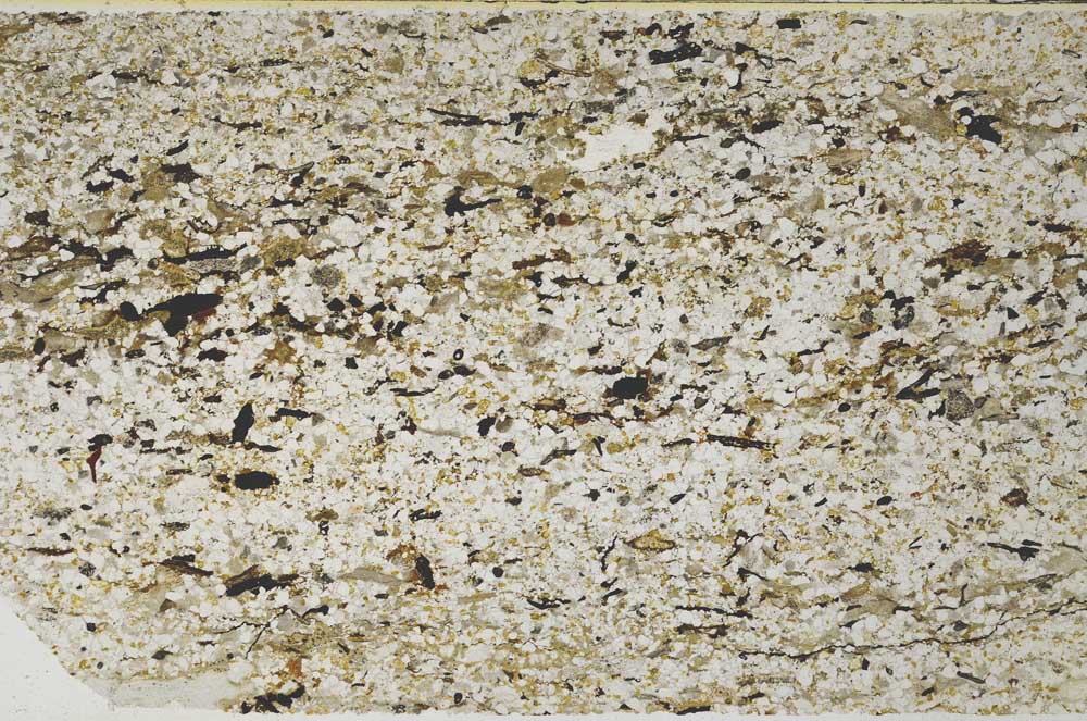 Plane Polarized, S60442/A