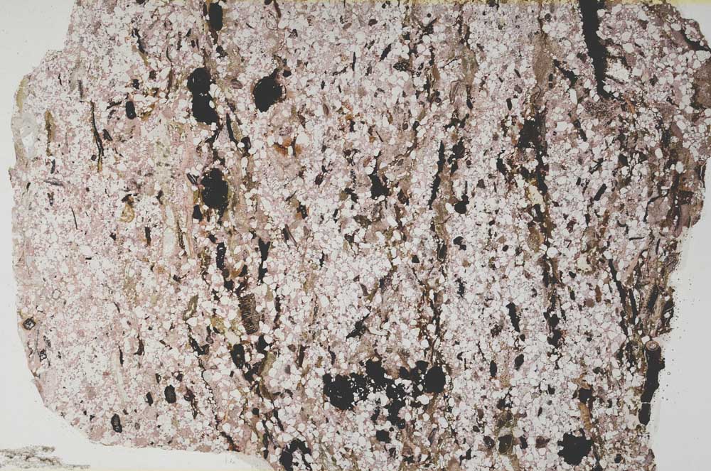 Plane Polarized, S60442/B