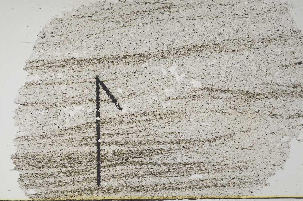 Plane Polarized, S60443