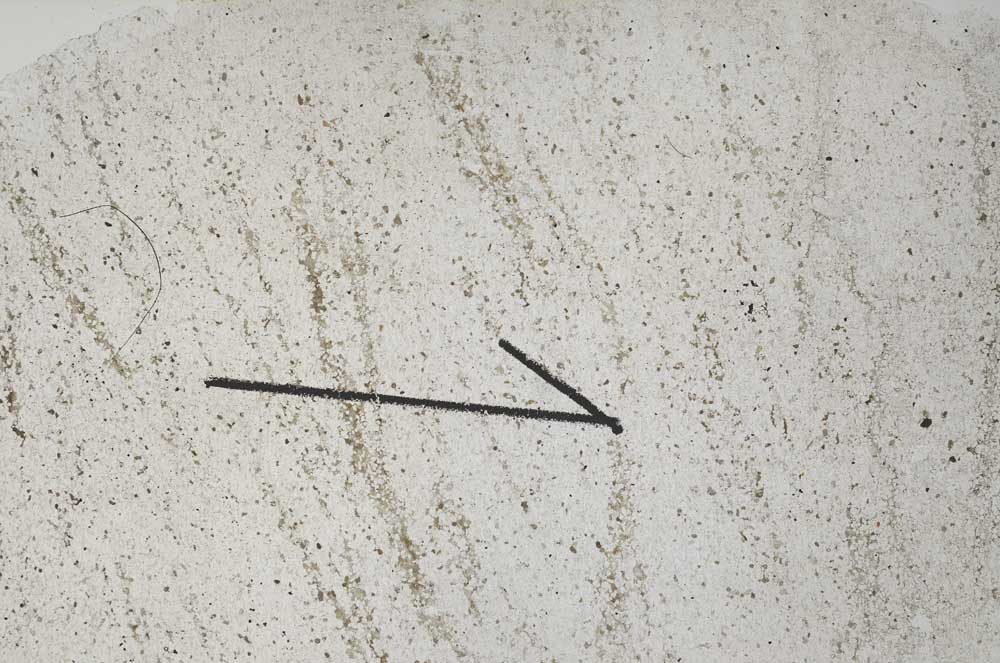 Plane Polarized, S60448