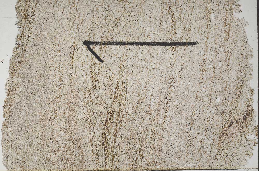 Plane Polarized, S60449