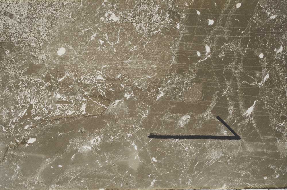 Plane Polarized, S60452