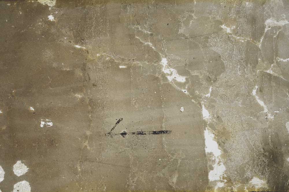 Plane Polarized, S60458