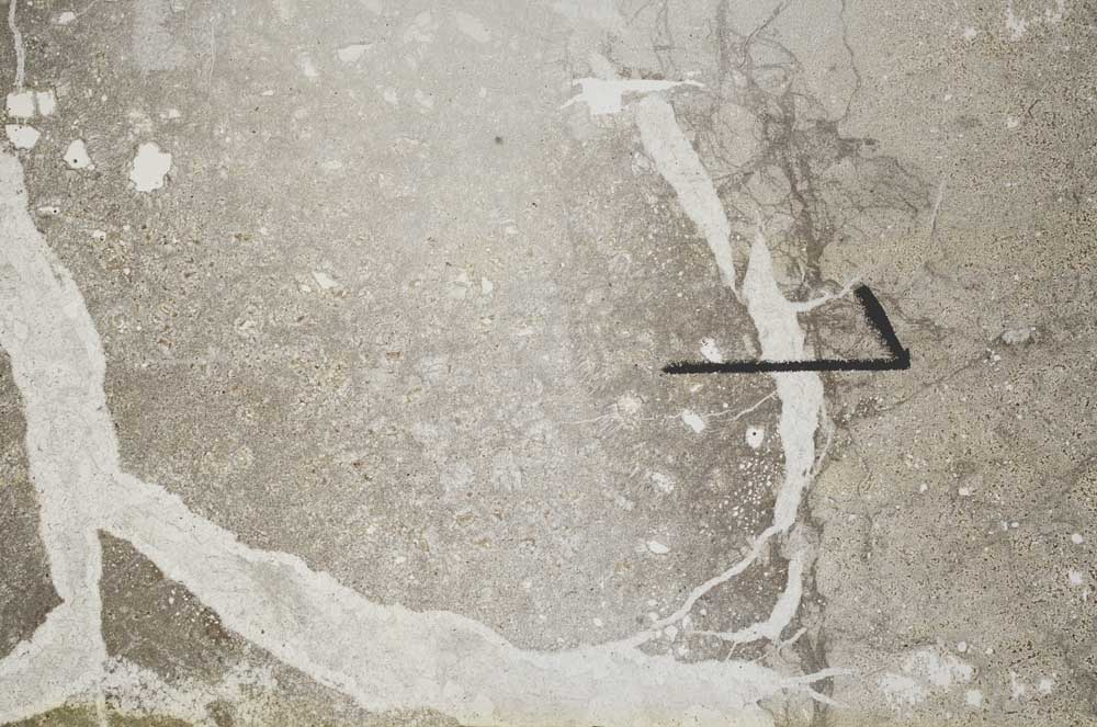 Plane Polarized, S60465