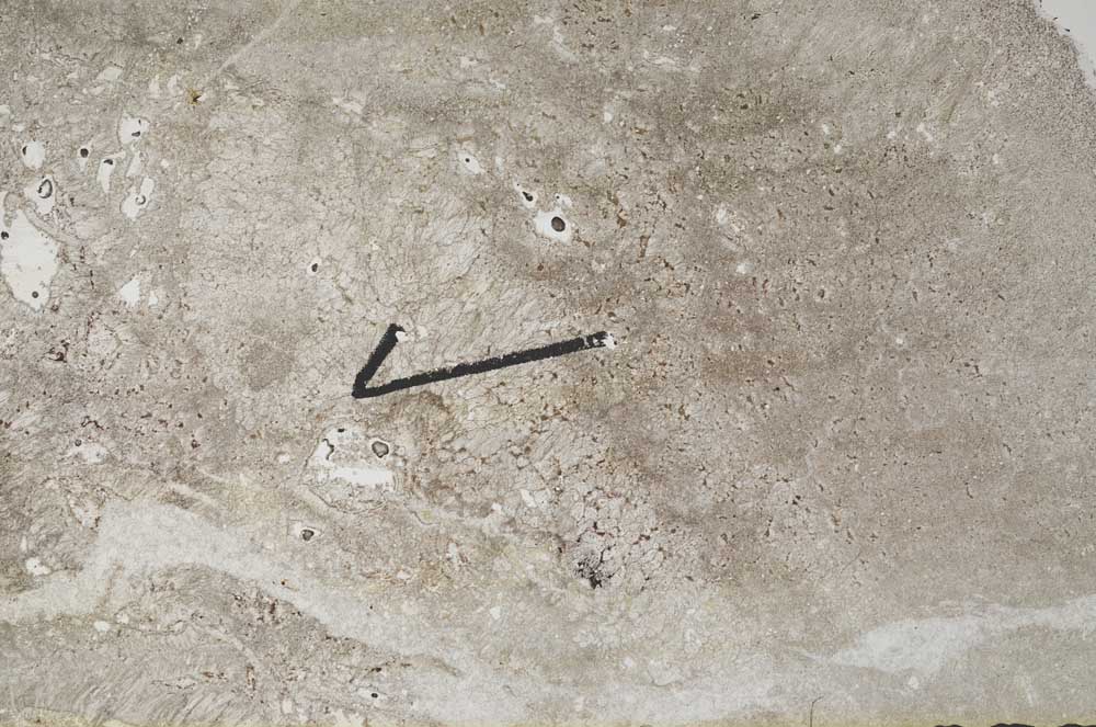 Plane Polarized, S60466