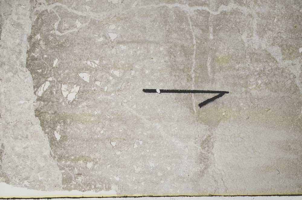 Plane Polarized, S60466/A