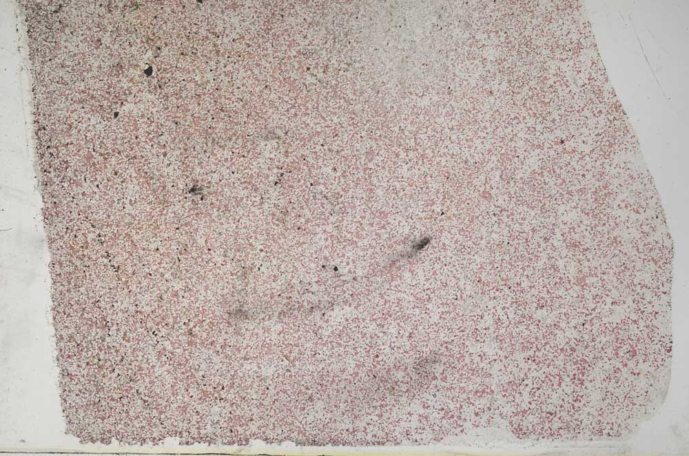 Plane Polarized, S60466/B