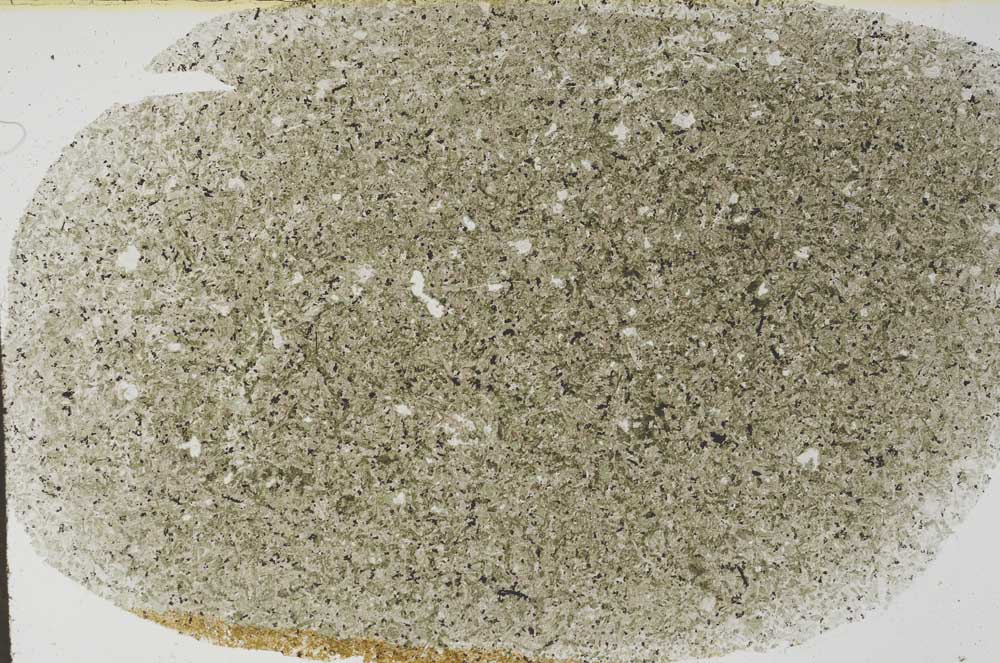 Plane Polarized, S60480