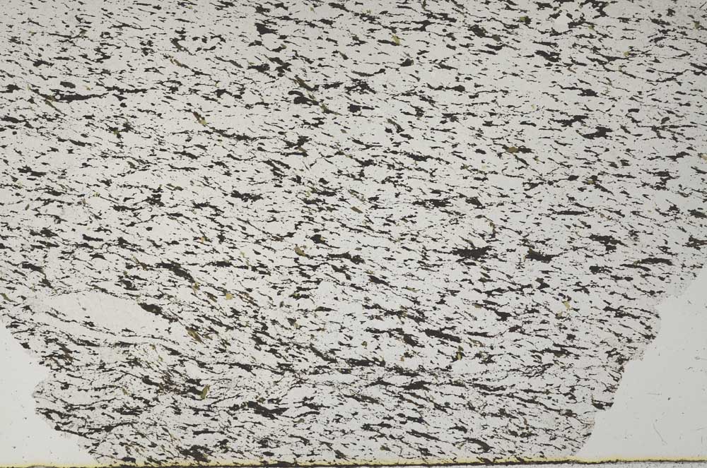 Plane Polarized, S60506