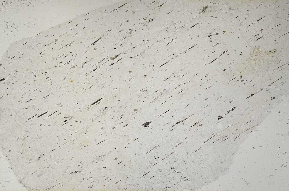 Plane Polarized, S60510