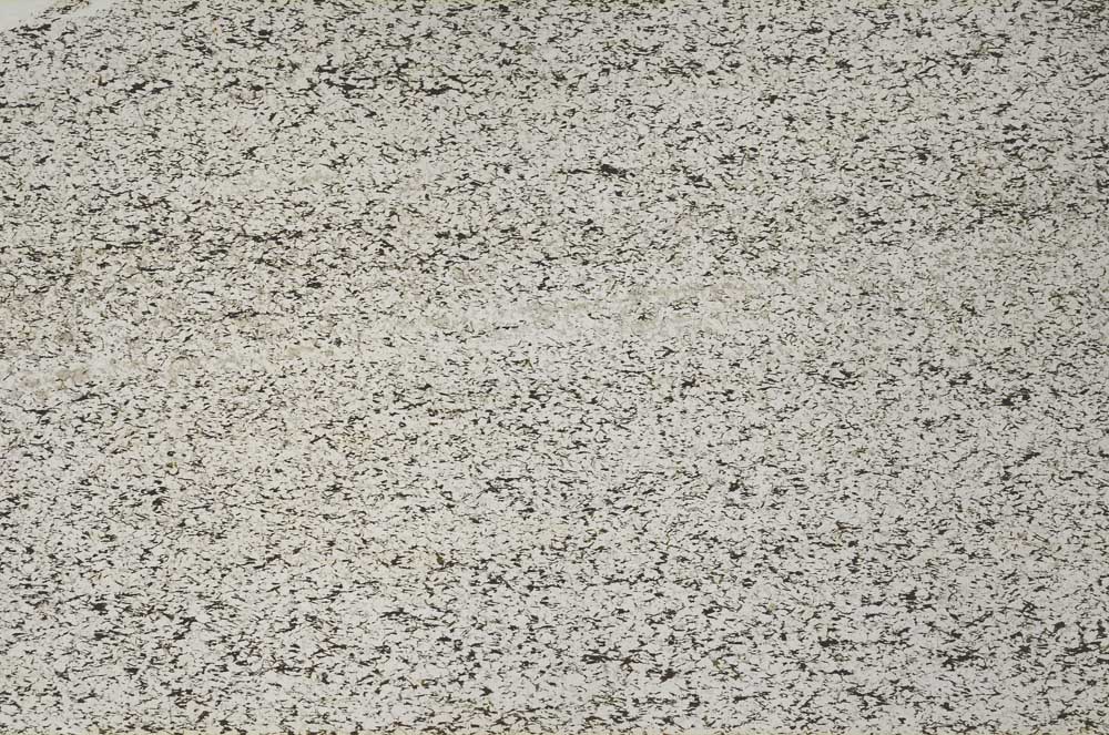 Plane Polarized, S60527