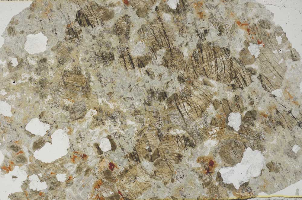 Plane Polarized, S60535