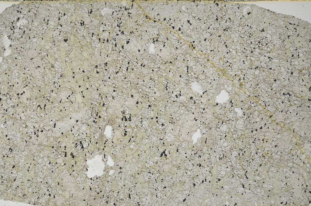 Plane Polarized, S60547